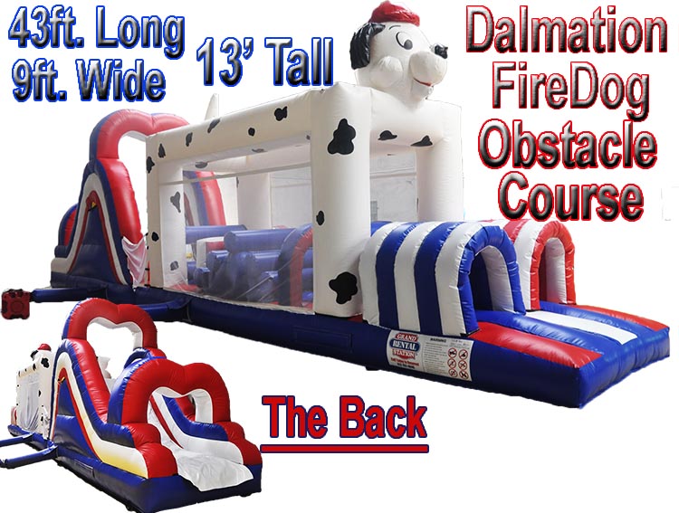 Great White Shark Water Slide and Rock Wall